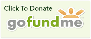 GoFundMeLogo-300pixels.gif